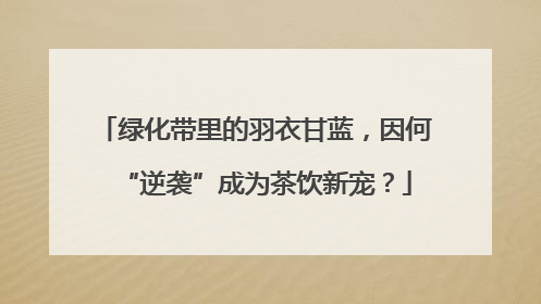 绿化带里的羽衣甘蓝，因何“逆袭”成为茶饮新宠？