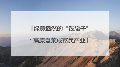 绿意盎然的“钱袋子”：高原夏菜成富民产业