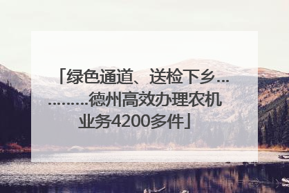 绿色通道、送检下乡…………德州高效办理农机业务4200多件