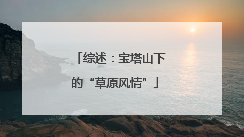 综述：宝塔山下的“草原风情”