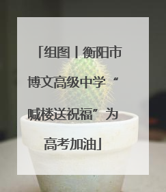 组图丨衡阳市博文高级中学“喊楼送祝福”为高考加油