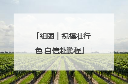 组图｜祝福壮行色 自信赴鹏程