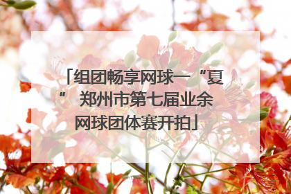 组团畅享网球一“夏” 郑州市第七届业余网球团体赛开拍