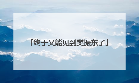 终于又能见到樊振东了