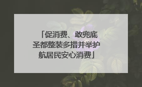 促消费、敢兜底 圣都整装多措并举护航居民安心消费