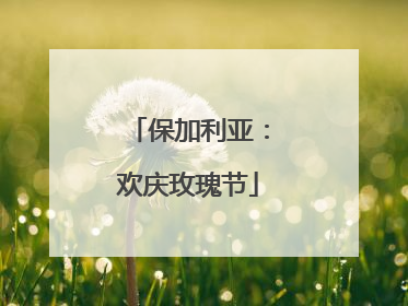 保加利亚：欢庆玫瑰节