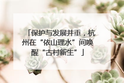 保护与发展并重，杭州在“依山理水”间唤醒“古村新生”