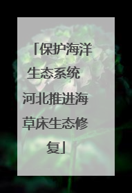 保护海洋生态系统 河北推进海草床生态修复