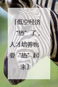 低空经济“热”了，人才培养也要“热”起来