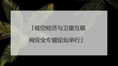 低空经济与卫星互联网安全专题论坛举行