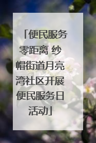 便民服务零距离 纱帽街道月亮湾社区开展便民服务日活动