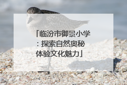 临汾市御景小学：探索自然奥秘 体验文化魅力