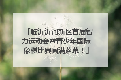 临沂沂河新区首届智力运动会暨青少年国际象棋比赛圆满落幕！