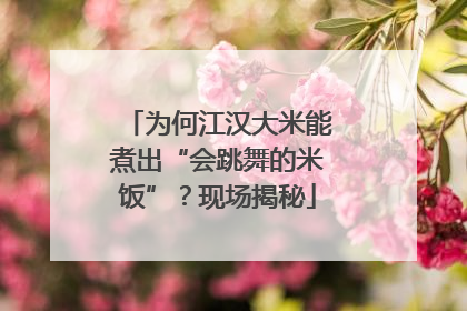 为何江汉大米能煮出“会跳舞的米饭”？现场揭秘