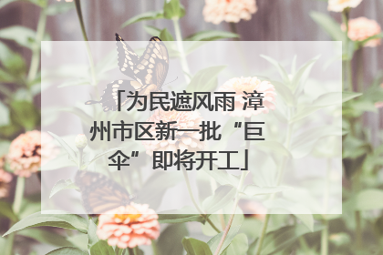 为民遮风雨 漳州市区新一批“巨伞”即将开工