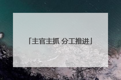 主官主抓 分工推进