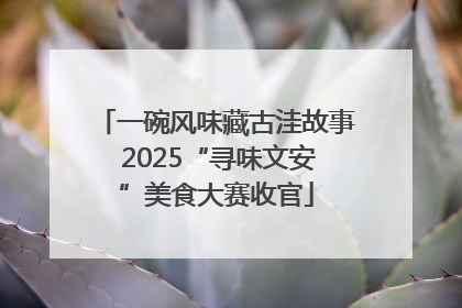 一碗风味藏古洼故事 2025“寻味文安”美食大赛收官