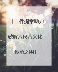 一件提案助力破解六尺巷文化传承之困