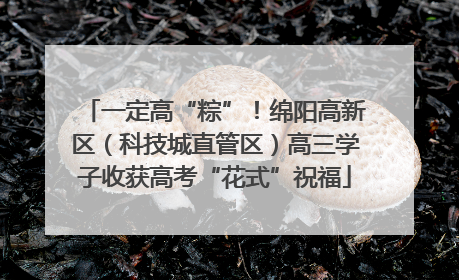 一定高“粽”！绵阳高新区（科技城直管区）高三学子收获高考“花式”祝福