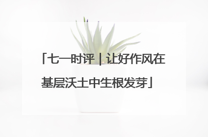 七一时评｜让好作风在基层沃土中生根发芽