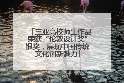 三亚高校师生作品荣获“伦敦设计奖”银奖，展现中国传统文化创新魅力