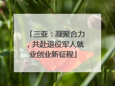 三亚：凝聚合力，共赴退役军人就业创业新征程