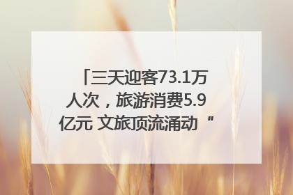 三天迎客73.1万人次，旅游消费5.9亿元 文旅顶流涌动“江宁style”