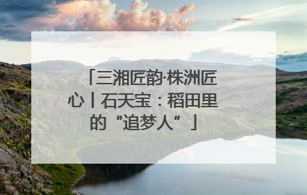 三湘匠韵·株洲匠心丨石天宝：稻田里的“追梦人”