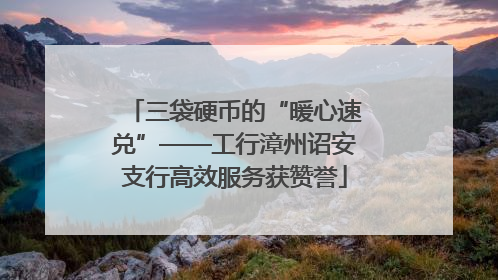 三袋硬币的“暖心速兑”——工行漳州诏安支行高效服务获赞誉