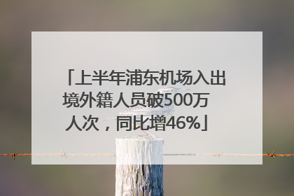 上半年浦东机场入出境外籍人员破500万人次，同比增46%