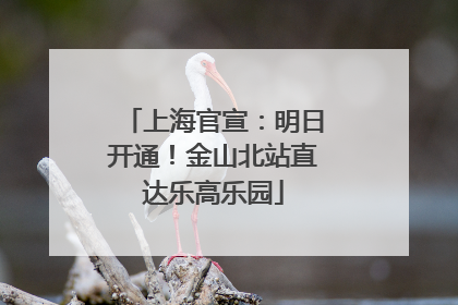 上海官宣：明日开通！金山北站直达乐高乐园
