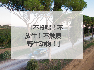 不投喂！不放生！不触摸野生动物！