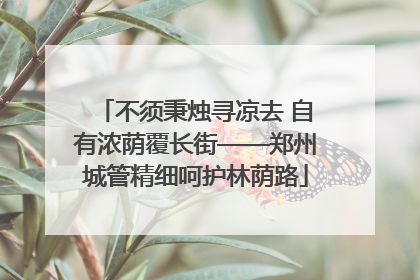 不须秉烛寻凉去 自有浓荫覆长街——郑州城管精细呵护林荫路