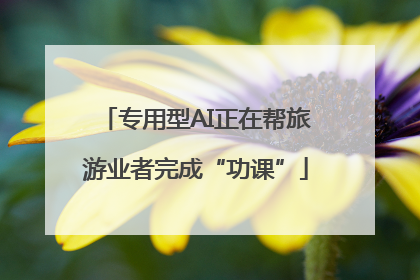 专用型AI正在帮旅游业者完成“功课”