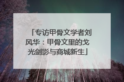 专访甲骨文学者刘风华：甲骨文里的戈光剑影与商城新生
