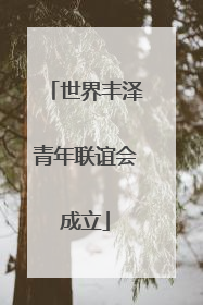世界丰泽青年联谊会成立