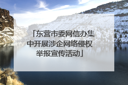 东营市委网信办集中开展涉企网络侵权举报宣传活动