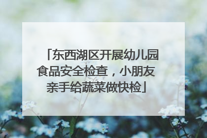 东西湖区开展幼儿园食品安全检查，小朋友亲手给蔬菜做快检