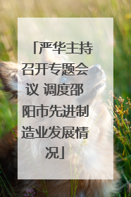 严华主持召开专题会议 调度邵阳市先进制造业发展情况
