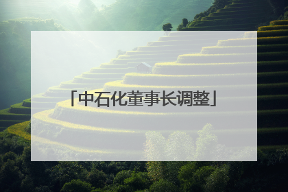 中石化董事长调整