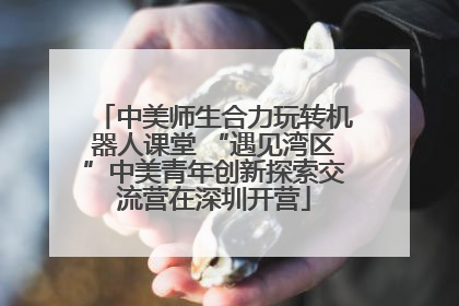 中美师生合力玩转机器人课堂 “遇见湾区”中美青年创新探索交流营在深圳开营