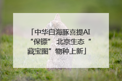 中华白海豚喜提AI“保镖” 北京生态“藏宝图”物种上新