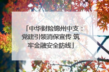 中华财险锦州中支：党建引领消保宣传 筑牢金融安全防线