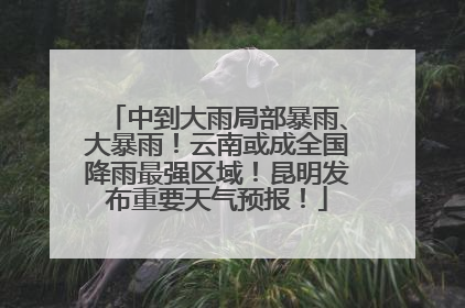 中到大雨局部暴雨、大暴雨！云南或成全国降雨最强区域！昆明发布重要天气预报！