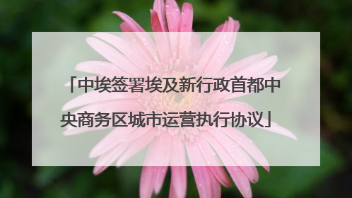 中埃签署埃及新行政首都中央商务区城市运营执行协议