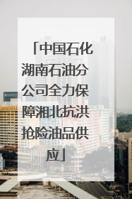 中国石化湖南石油分公司全力保障湘北抗洪抢险油品供应