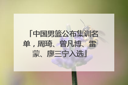 中国男篮公布集训名单，周琦、曾凡博、雷蒙、廖三宁入选