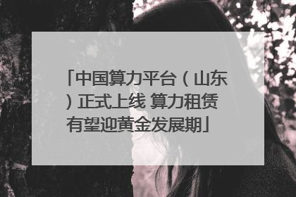 中国算力平台（山东）正式上线 算力租赁有望迎黄金发展期