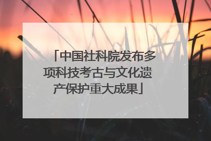 中国社科院发布多项科技考古与文化遗产保护重大成果