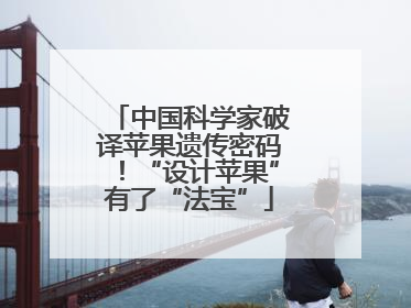 中国科学家破译苹果遗传密码！“设计苹果”有了“法宝”